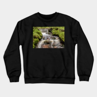 A Little Spring at 67ºN Crewneck Sweatshirt